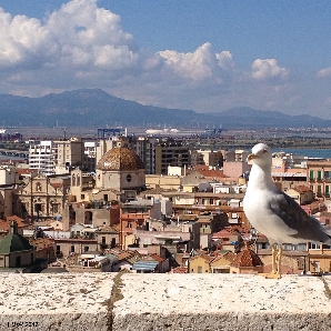 Cagliari 