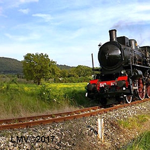 Trenino verde