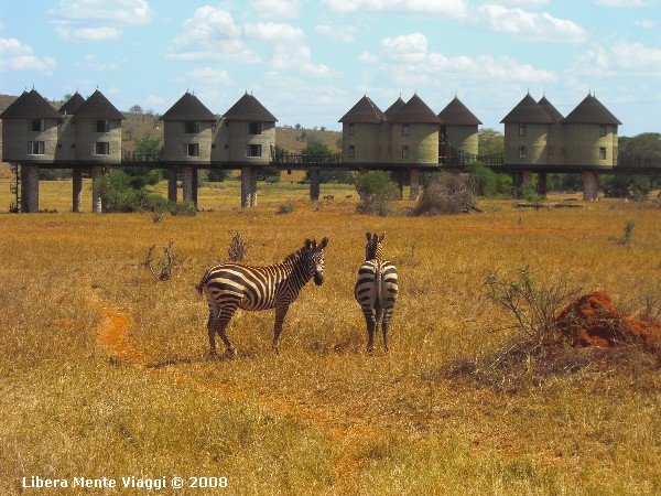 Zebre al Sarova Salt Lick Lodge