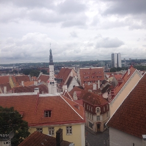 Tallin 