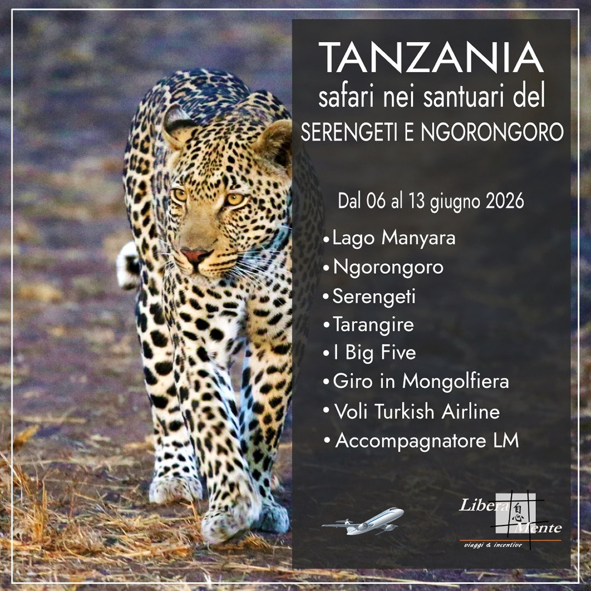 TANZANIA - IL SAFARI 