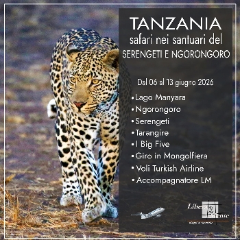 TANZANIA - IL SAFARI 